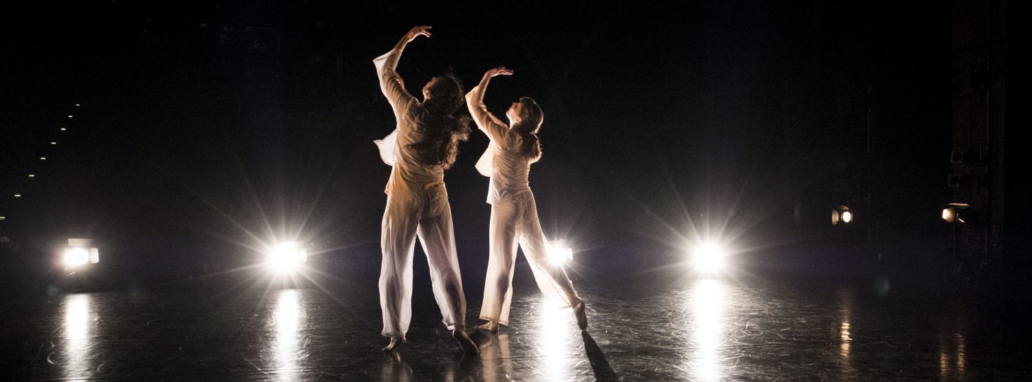 Yanaëlle Thiran & Shivaangee Agrawal in 'Swapping Shadows' (2018). Photo: Madeleine Rose Elliott