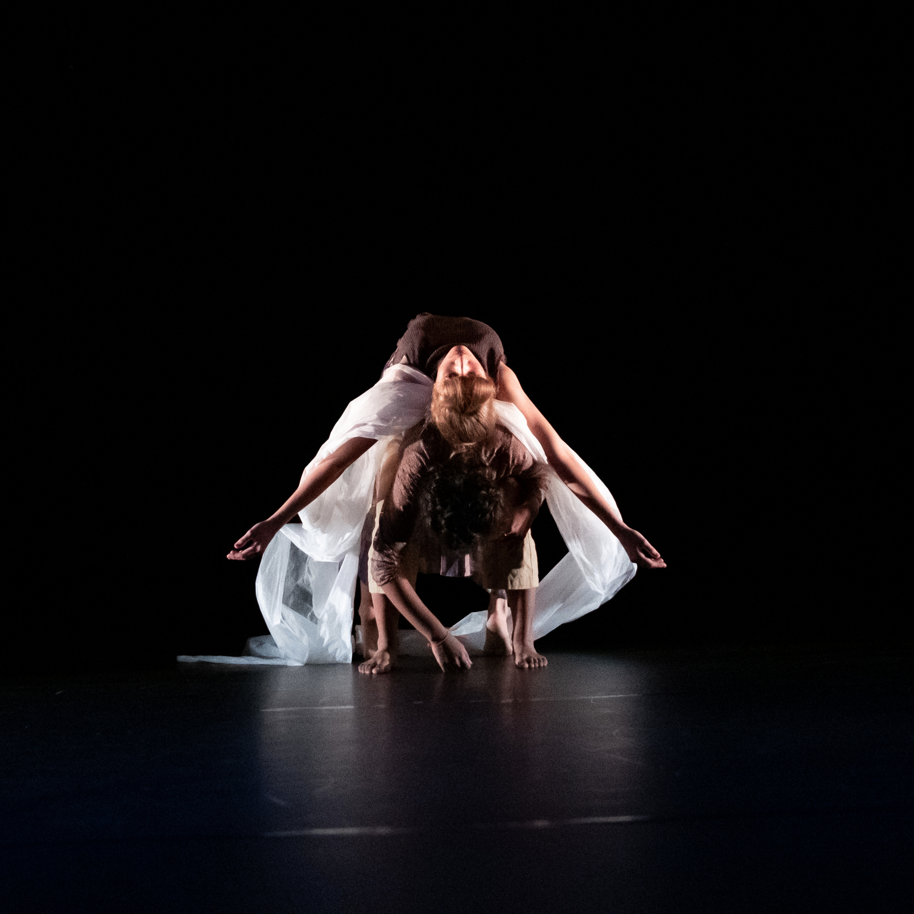 Remainder by Company Concentric. Photo: Madeleine Rose Elliott