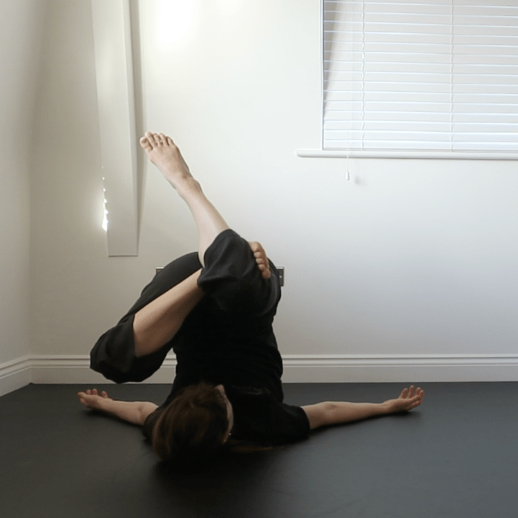 Online Floorwork Class